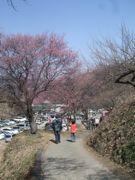 ファイル 2129-2.jpg