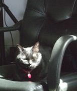 ファイル 2144-1.jpg