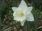 ファイル 2150-2.jpg