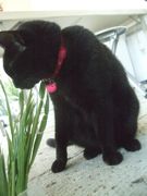 ファイル 2152-1.jpg