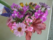 ファイル 2157-1.jpg