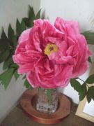 ファイル 2168-1.jpg