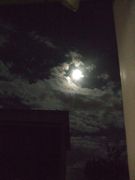 ファイル 2170-1.jpg