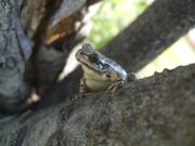 ファイル 2171-1.jpg