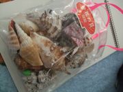 ファイル 2179-1.jpg