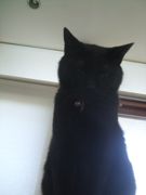 ファイル 2191-1.jpg