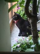 ファイル 2197-1.jpg