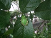 ファイル 2201-2.jpg