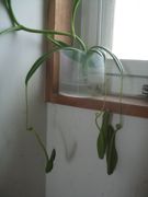 ファイル 2202-1.jpg