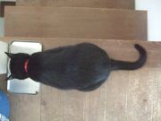 ファイル 2204-1.jpg