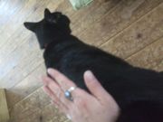 ファイル 2214-1.jpg