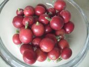 ファイル 2216-1.jpg