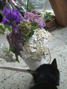 ファイル 2219-1.jpg