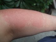 ファイル 2223-1.jpg