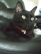 ファイル 2228-4.jpg