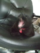 ファイル 2235-1.jpg