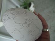 ファイル 2238-1.jpg