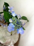 ファイル 2247-2.jpg