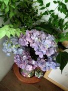 ファイル 2247-3.jpg