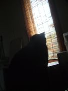 ファイル 2253-1.jpg