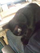 ファイル 2256-2.jpg