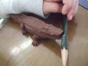 ファイル 2256-3.jpg