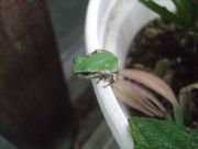 ファイル 2264-1.jpg