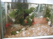 ファイル 2272-1.jpg