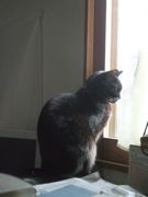 ファイル 2280-1.jpg