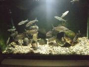 ファイル 2289-1.jpg