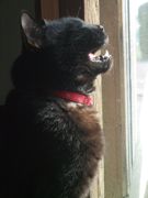 ファイル 2294-2.jpg