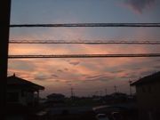 ファイル 2296-1.jpg