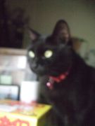 ファイル 2300-4.jpg