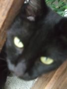 ファイル 2304-1.jpg