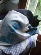 ファイル 2308-1.jpg