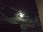 ファイル 2311-1.jpg