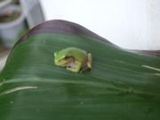 ファイル 2311-4.jpg