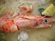 ファイル 2312-1.jpg