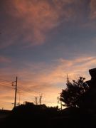 ファイル 2314-1.jpg