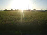 ファイル 2315-1.jpg