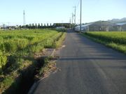 ファイル 2316-2.jpg