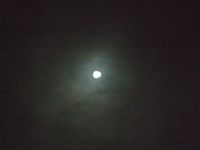 ファイル 2318-1.jpg