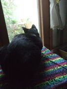 ファイル 2319-1.jpg