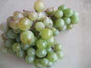 ファイル 2325-1.jpg