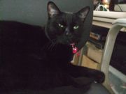 ファイル 2329-1.jpg