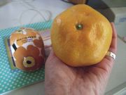 ファイル 2331-1.jpg