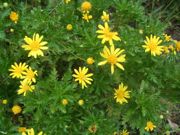 ファイル 2332-1.jpg