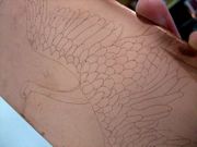 ファイル 2335-1.jpg