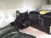 ファイル 2341-2.jpg