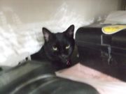 ファイル 2341-3.jpg